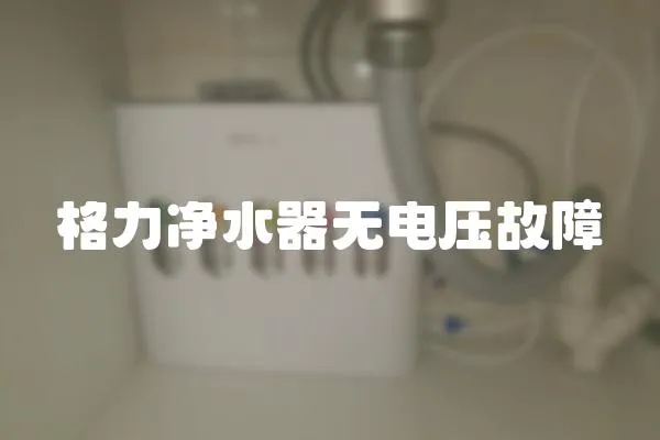 格力凈水器無電壓故障