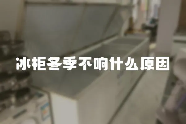 冰柜冬季不響什么原因
