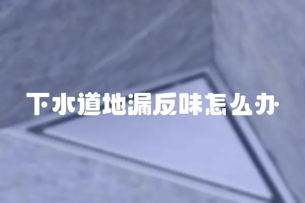 下水道地漏反味怎么辦