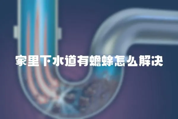 家里下水道有蟾蜍怎么解決