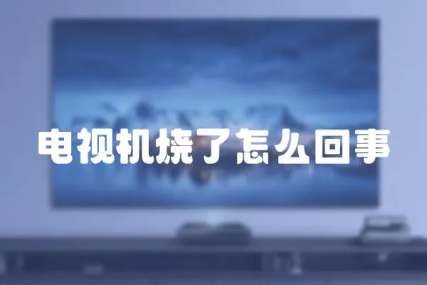 電視機燒了怎么回事