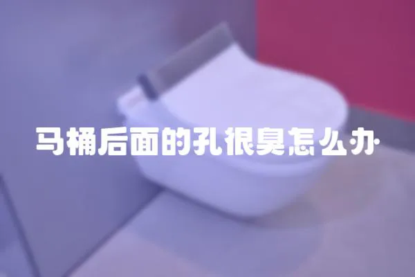 馬桶后面的孔很臭怎么辦