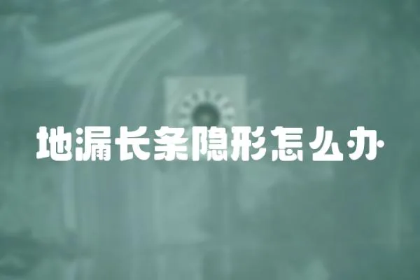 地漏長條隱形怎么辦