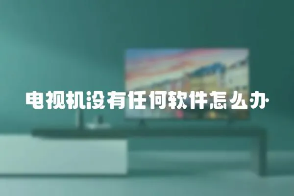 電視機沒有任何軟件怎么辦