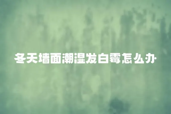 冬天墻面潮濕發白霉怎么辦