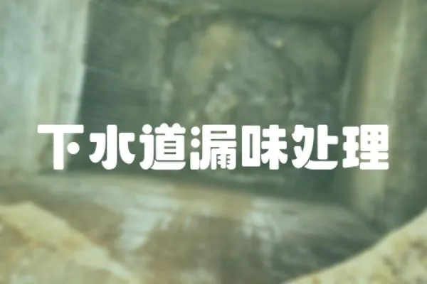 下水道漏味處理