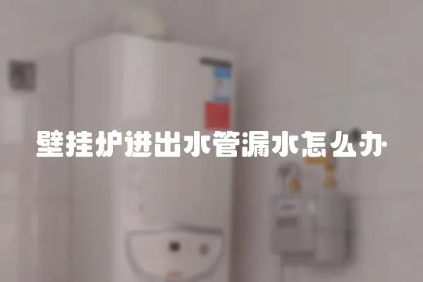 壁掛爐進出水管漏水怎么辦