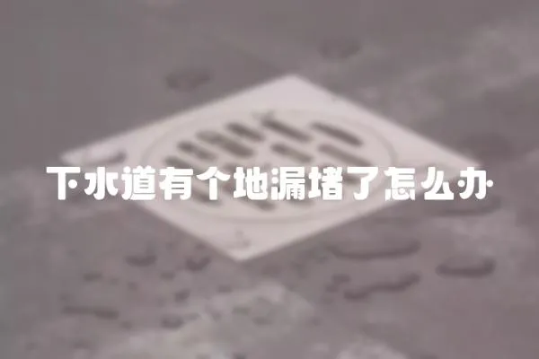 下水道有個地漏堵了怎么辦