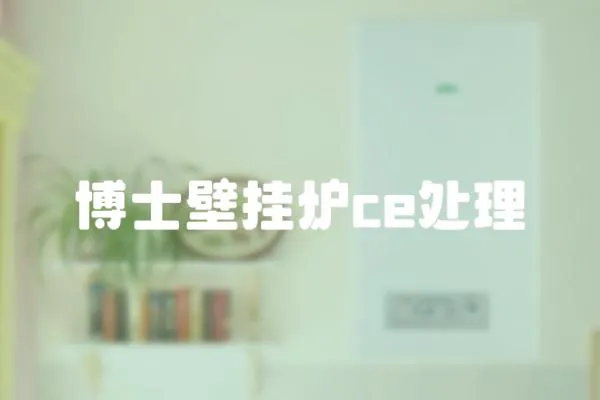博士壁掛爐ce處理