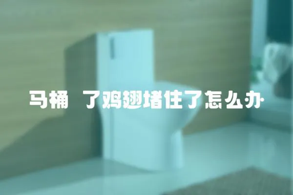 馬桶丟了雞翅堵住了怎么辦