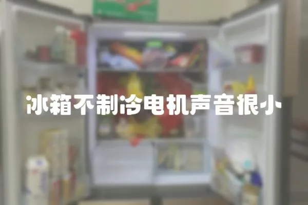 冰箱不制冷電機聲音很小