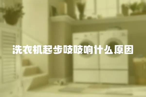 洗衣機(jī)起步吱吱響什么原因