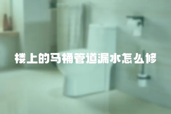 樓上的馬桶管道漏水怎么修