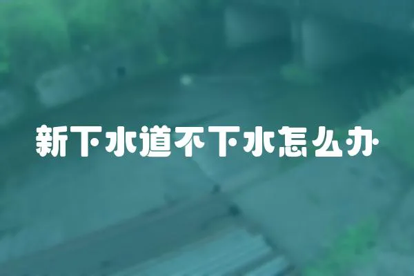 新下水道不下水怎么辦