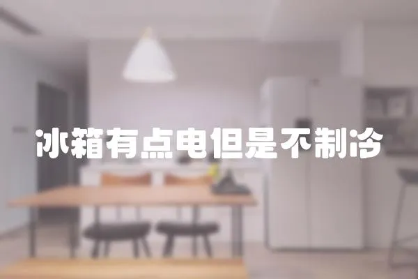 冰箱有點電但是不制冷