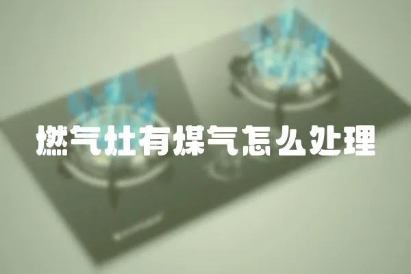 燃?xì)庠钣忻簹庠趺刺幚?></a></div>
                    </div>
                    <div   id=