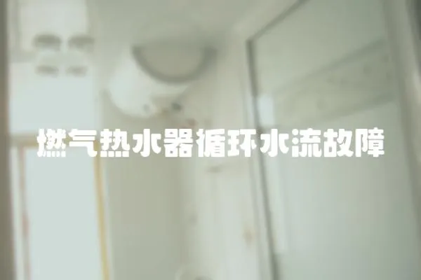燃氣熱水器循環水流故障