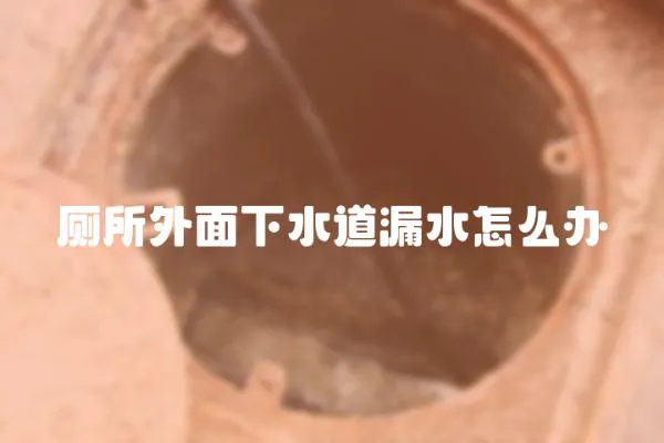 廁所外面下水道漏水怎么辦