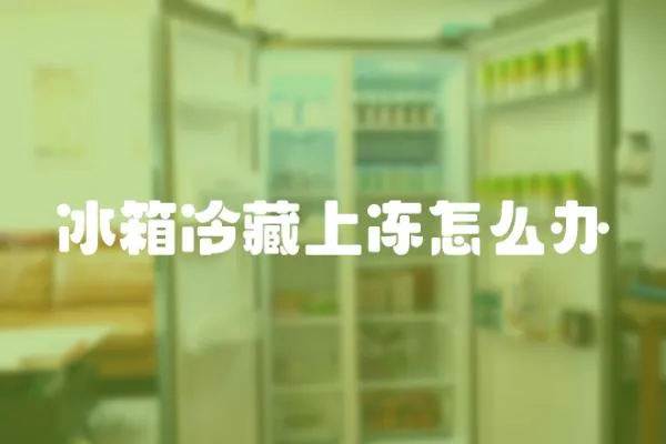 冰箱冷藏上凍怎么辦