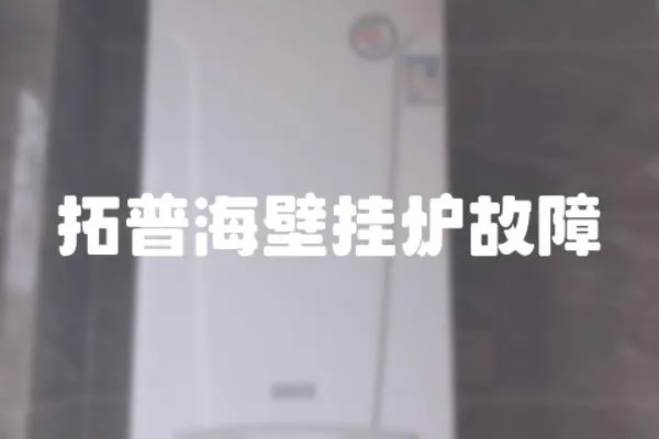 拓普海壁掛爐故障