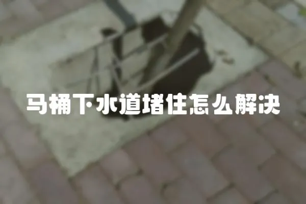 馬桶下水道堵住怎么解決