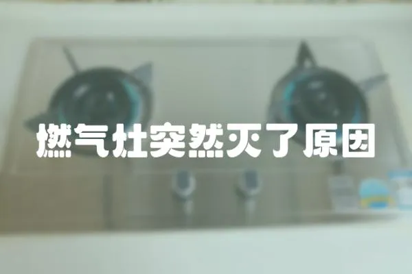 燃?xì)庠钔蝗粶缌嗽?></a></div>
                    <div   id=