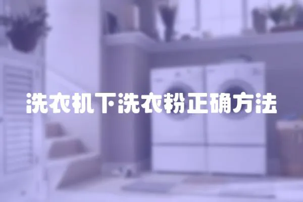洗衣機下洗衣粉正確方法