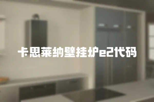 卡思萊納壁掛爐e2代碼