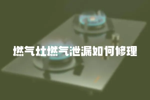 燃?xì)庠钊細(xì)庑孤┤绾涡蘩? loading=