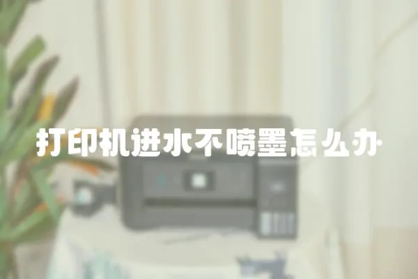 打印機進水不噴墨怎么辦