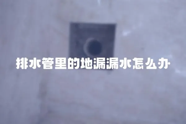 排水管里的地漏漏水怎么辦