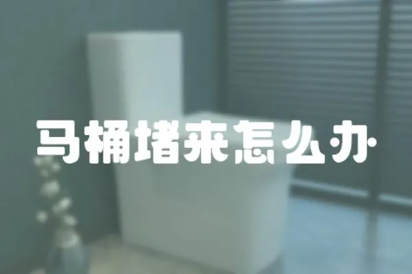 馬桶堵來怎么辦
