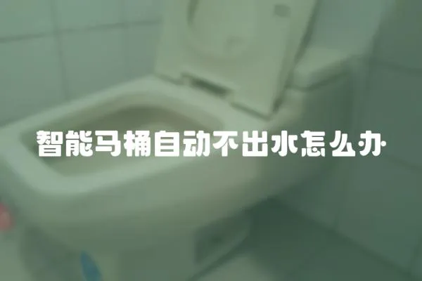 智能马桶自动不出水怎么办