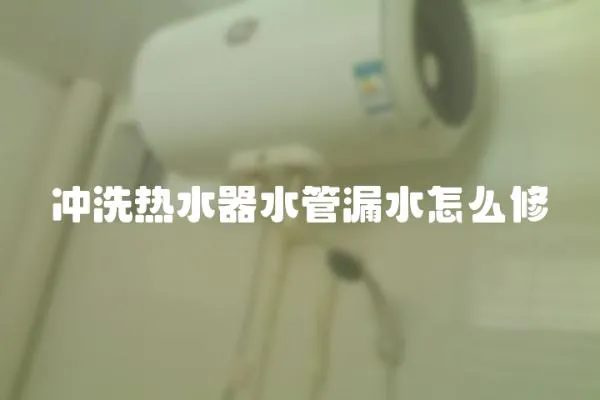 沖洗熱水器水管漏水怎么修
