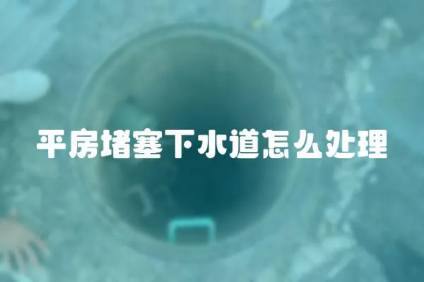 平房堵塞下水道怎么處理