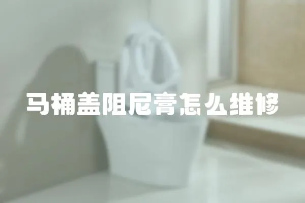 馬桶蓋阻尼膏怎么維修