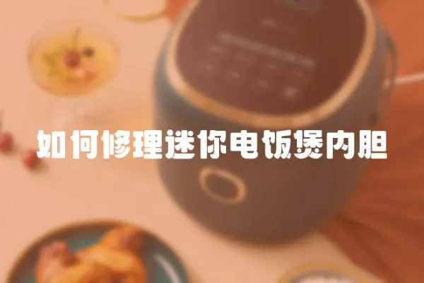 如何修理迷你電飯煲內膽