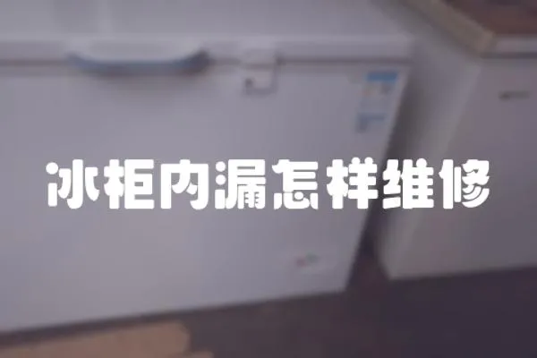 冰柜內漏怎樣維修