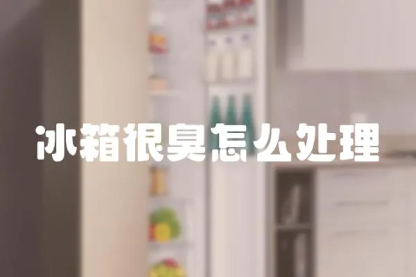 冰箱很臭怎么處理