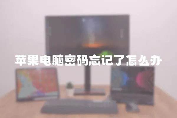 蘋果電腦密碼忘記了怎么辦