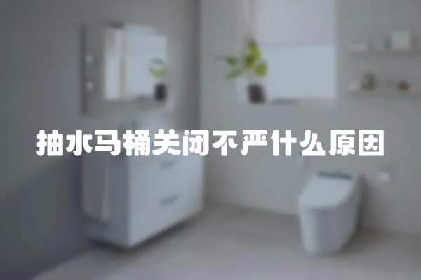 抽水馬桶關閉不嚴什么原因