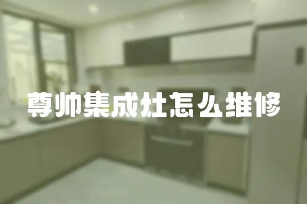 尊帥集成灶怎么維修
