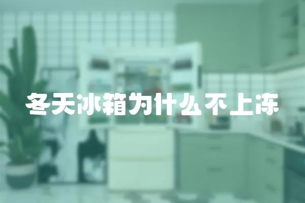冬天冰箱為什么不上凍