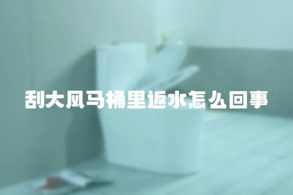刮大風(fēng)馬桶里返水怎么回事