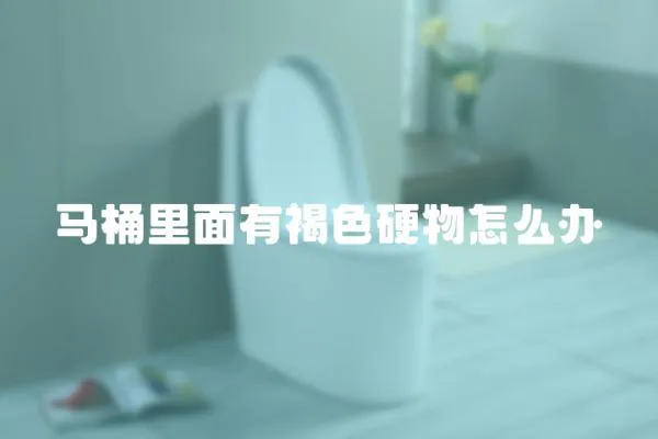 馬桶里面有褐色硬物怎么辦