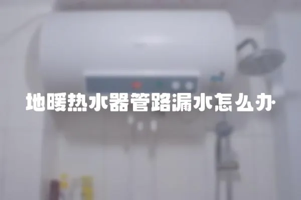 地暖熱水器管路漏水怎么辦