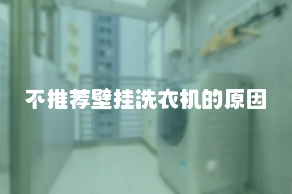 不推薦壁掛洗衣機的原因