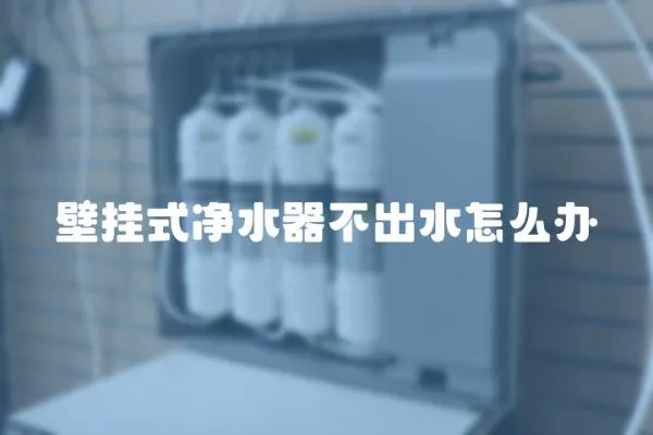 壁掛式凈水器不出水怎么辦