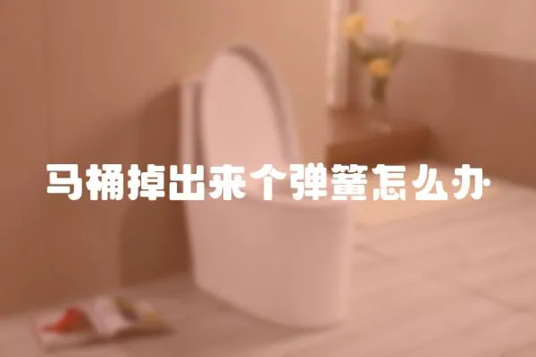 馬桶掉出來個彈簧怎么辦