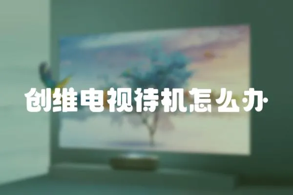 創(chuàng)維電視待機怎么辦